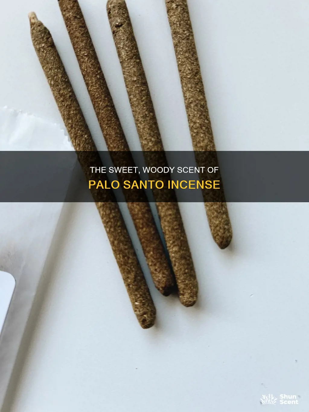 what does palo santo incense smell like