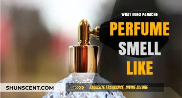 Explore the Fragrance Notes of Panache Perfume