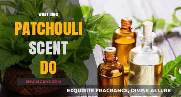 Exploring the Aromatic Powers: What Does Patchouli Scent Do?
