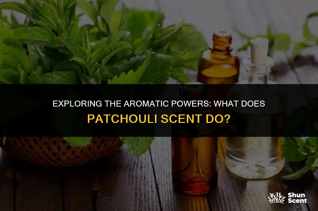 what does patchouli scent do