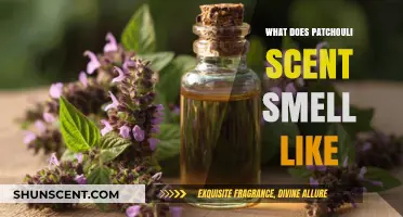 Exploring the Rich and Earthy Aroma of Patchouli: A Scent Profile