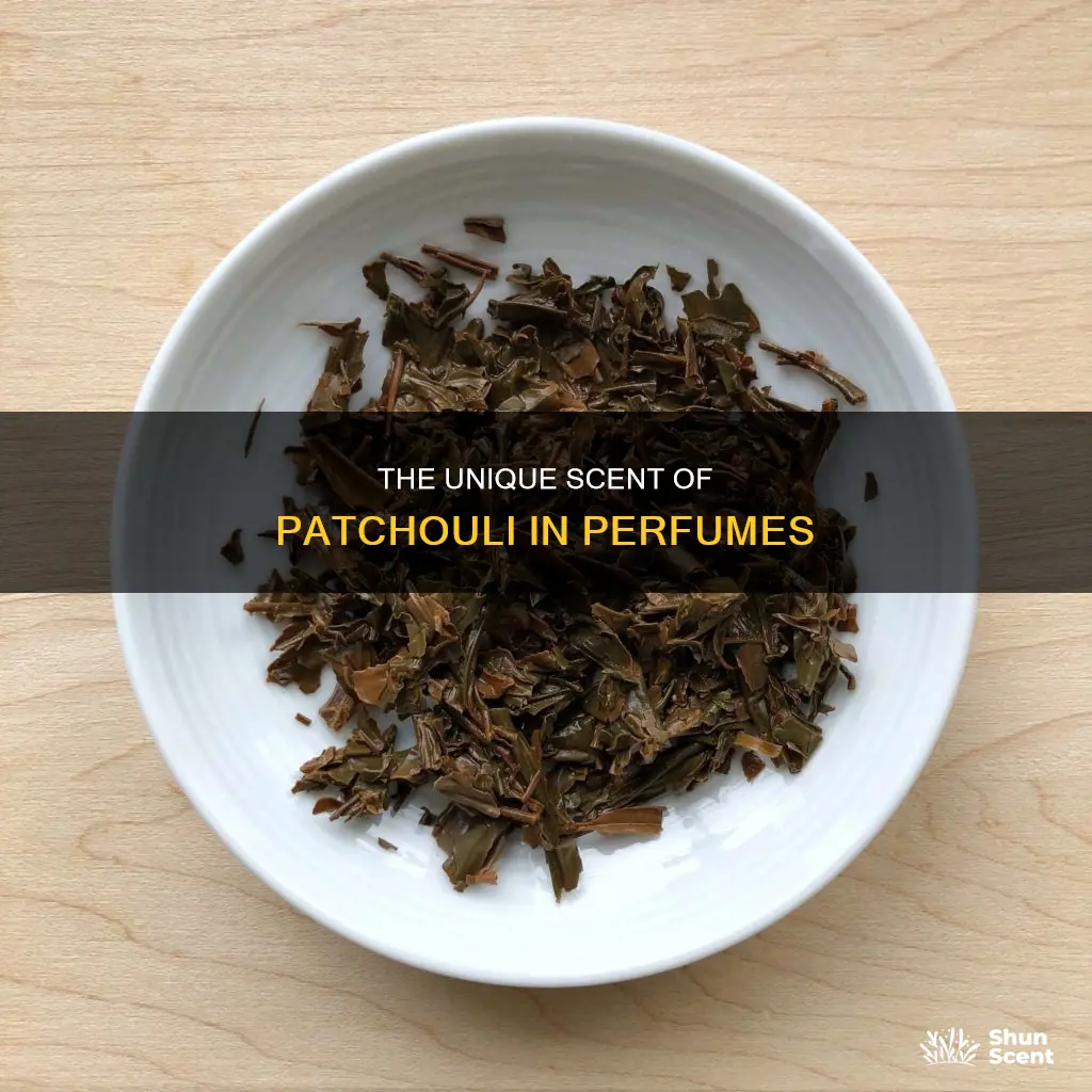 what does patchouli smell like in perfume