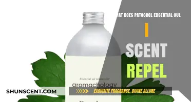 Exploring Patochol: The Essential Oil with a Unique Scent Profile