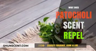Nature's Defense: How Patchouli Scent Repels Unwanted Pests