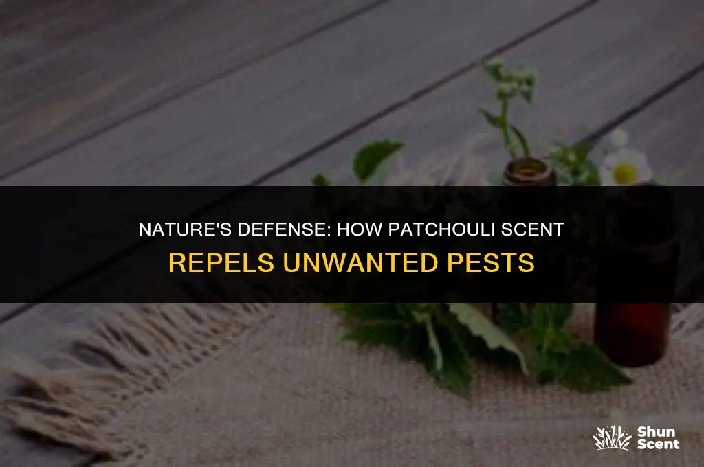 what does patocholi scent repel