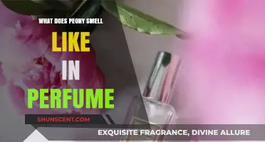Peony Perfume: A Fragrant Floral Scent