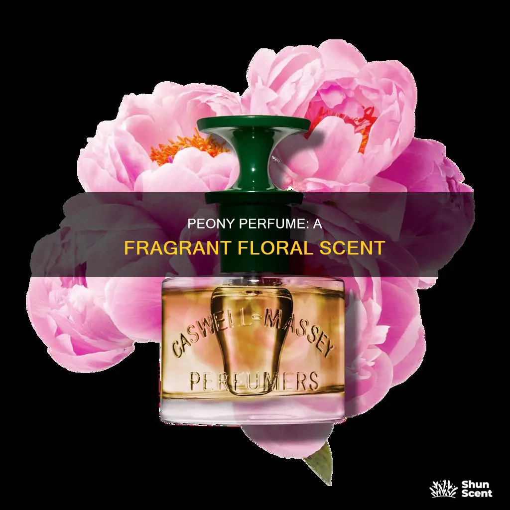 what does peony smell like in perfume