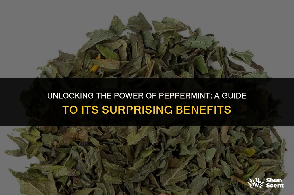 what does peppermint scent do