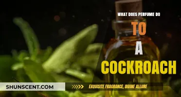 Can Perfume Repel or Attract Cockroaches? Uncovering the Scented Truth