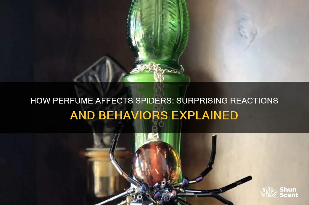 what does perfume do to spiders