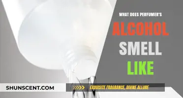 The Scent of Perfumer's Alcohol: A Guide