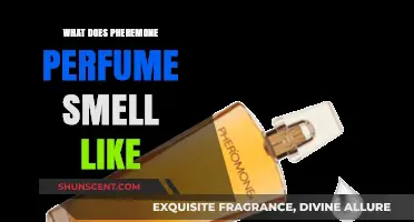 The Smell of Pheromone Perfumes: Science or Myth?