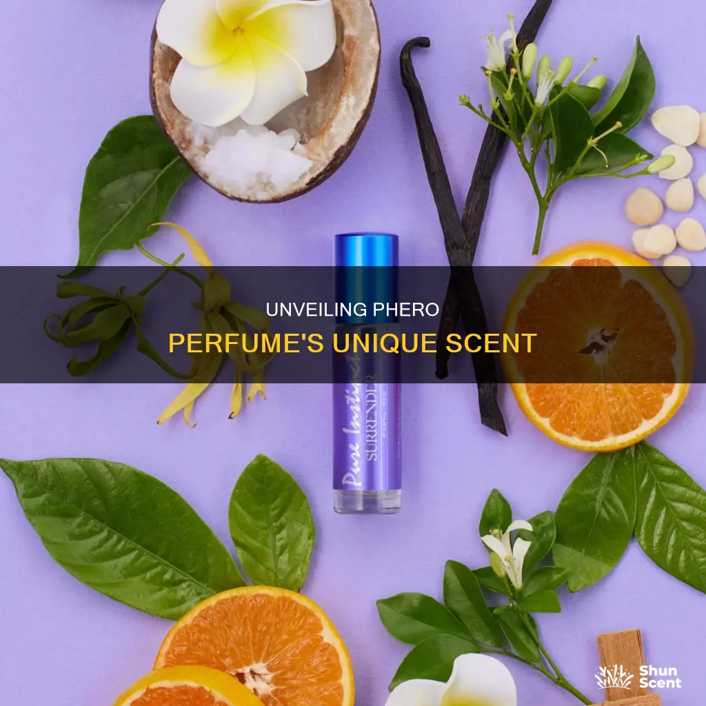 what does phero perfume smell like