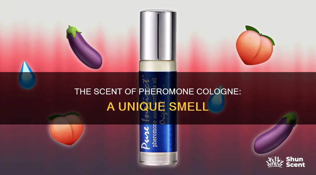 what does pheromone cologne smell like