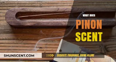 Unveiling the Enchanting Essence: What Does Piñon Scent?