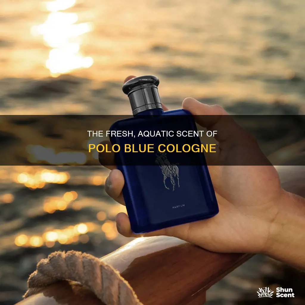 what does polo blue cologne smell like