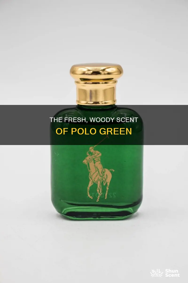 what does polo green cologne smell like