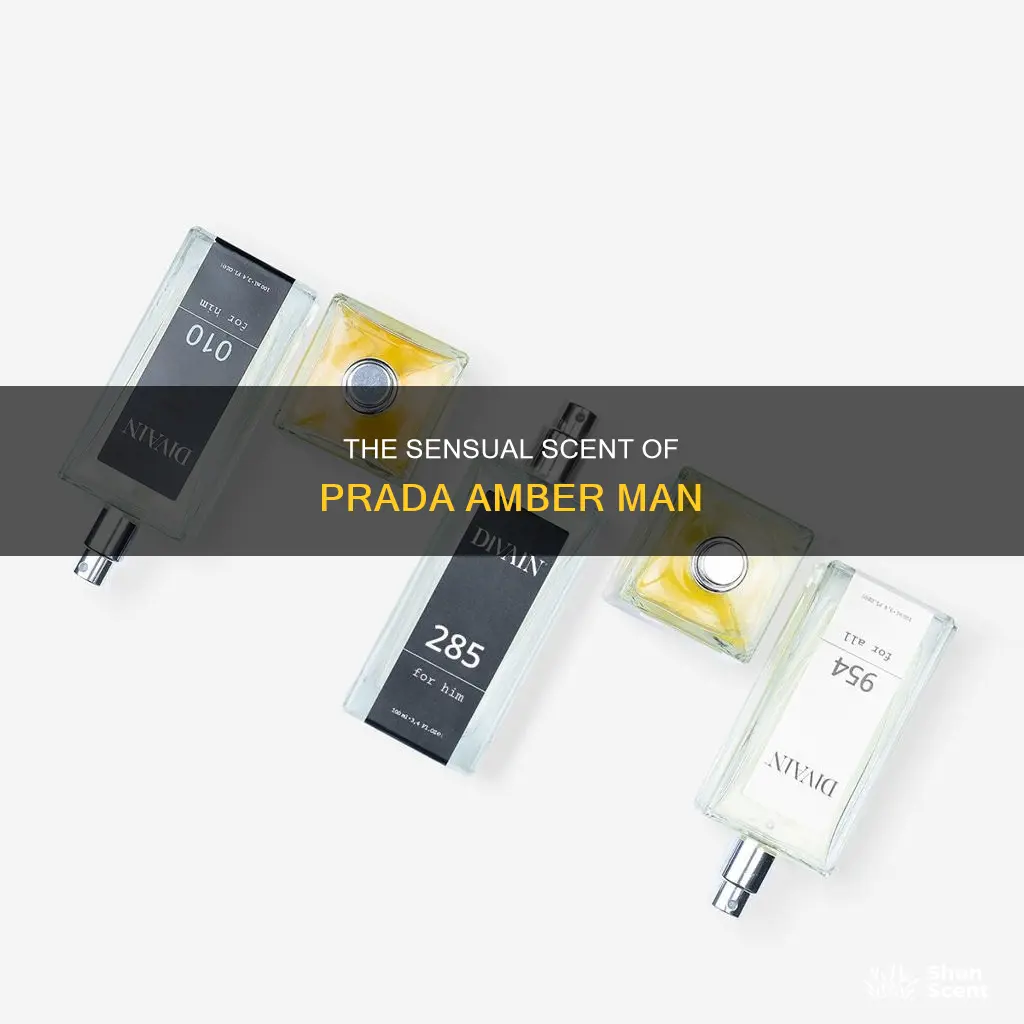what does prada amber man perfume smell like