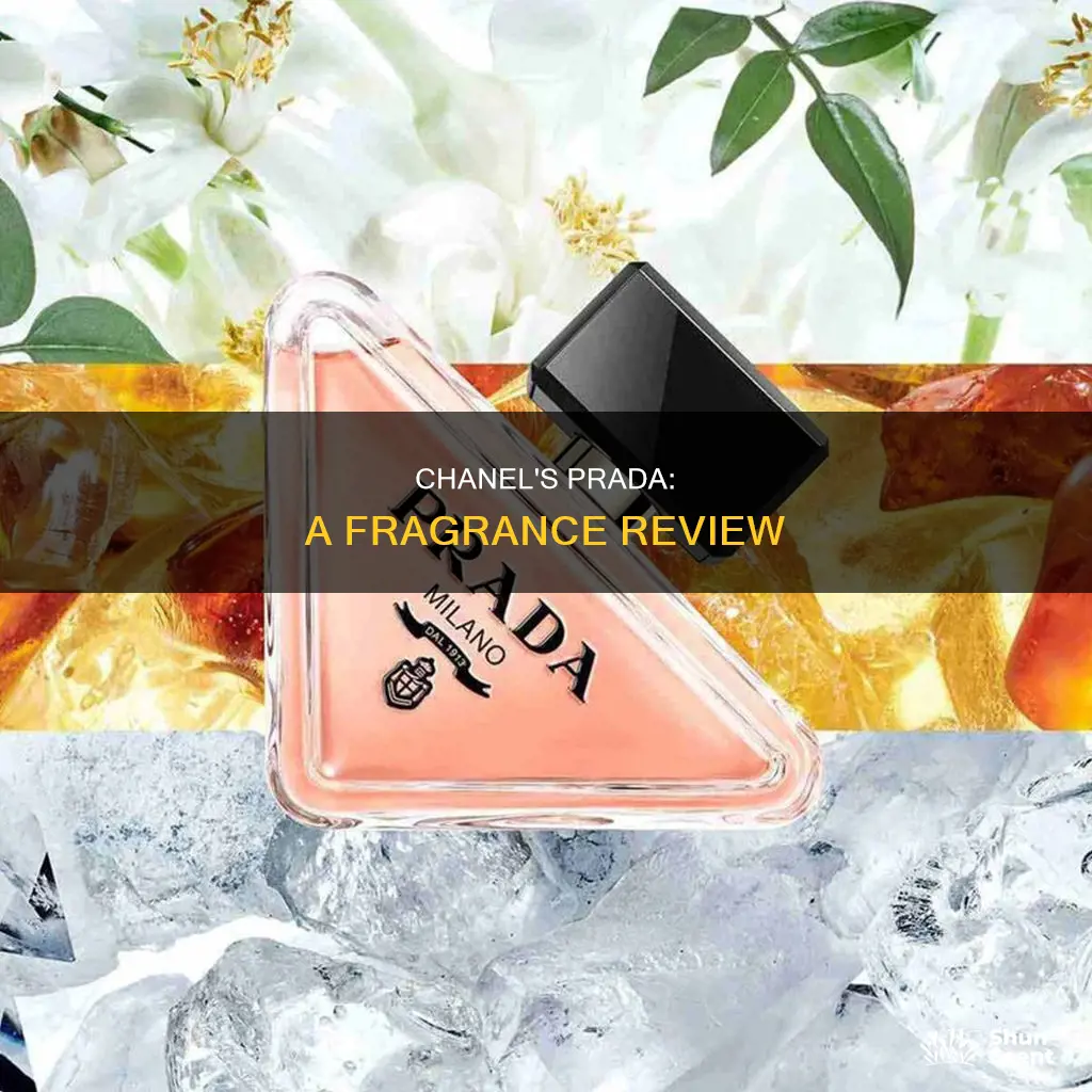 what does prada by chanel perfume smell like