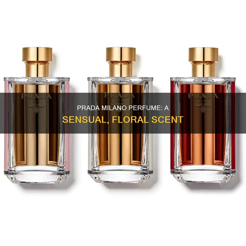 what does prada milano perfume smell like