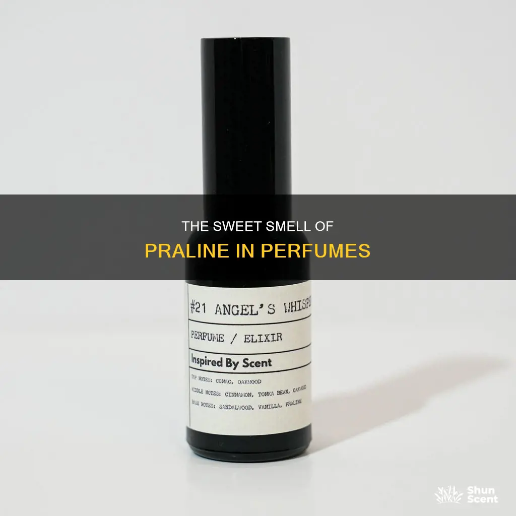 what does praline smell like in perfume