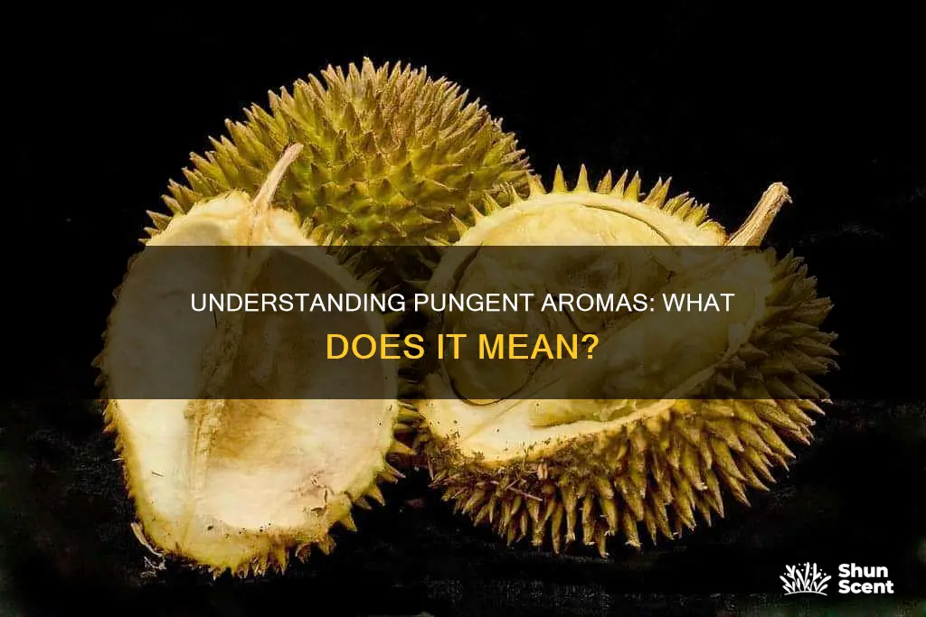 what does pungent aroma mean