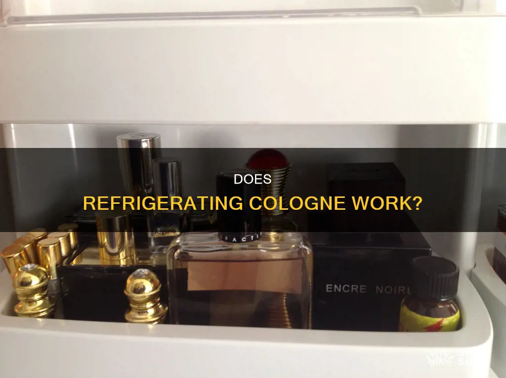 what does putting your cologne in the fridge do