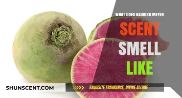 Exploring the Unique Aroma of Radish Meyer: A Scent Profile