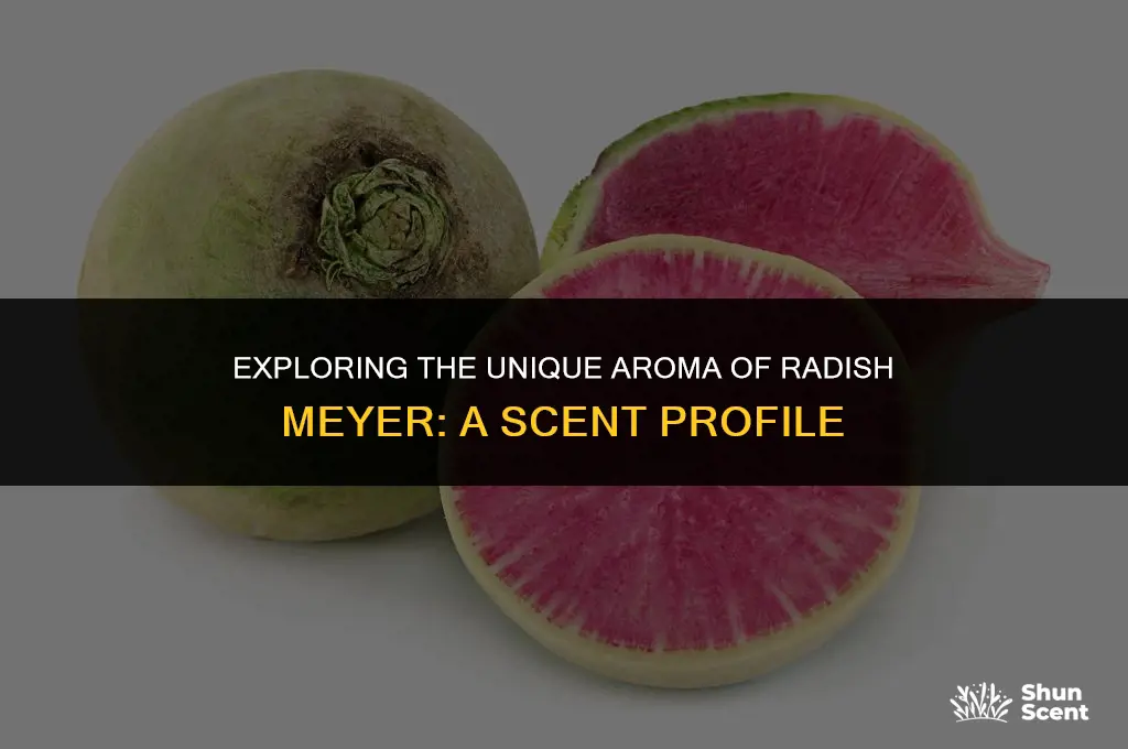 what does raddish meyer scent smell like