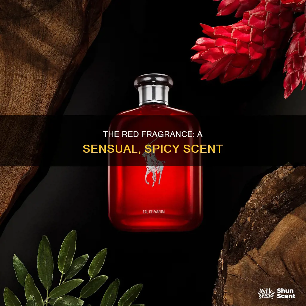what does red perfume smell like