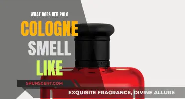 The Alluring Scent of the Red Polo Cologne