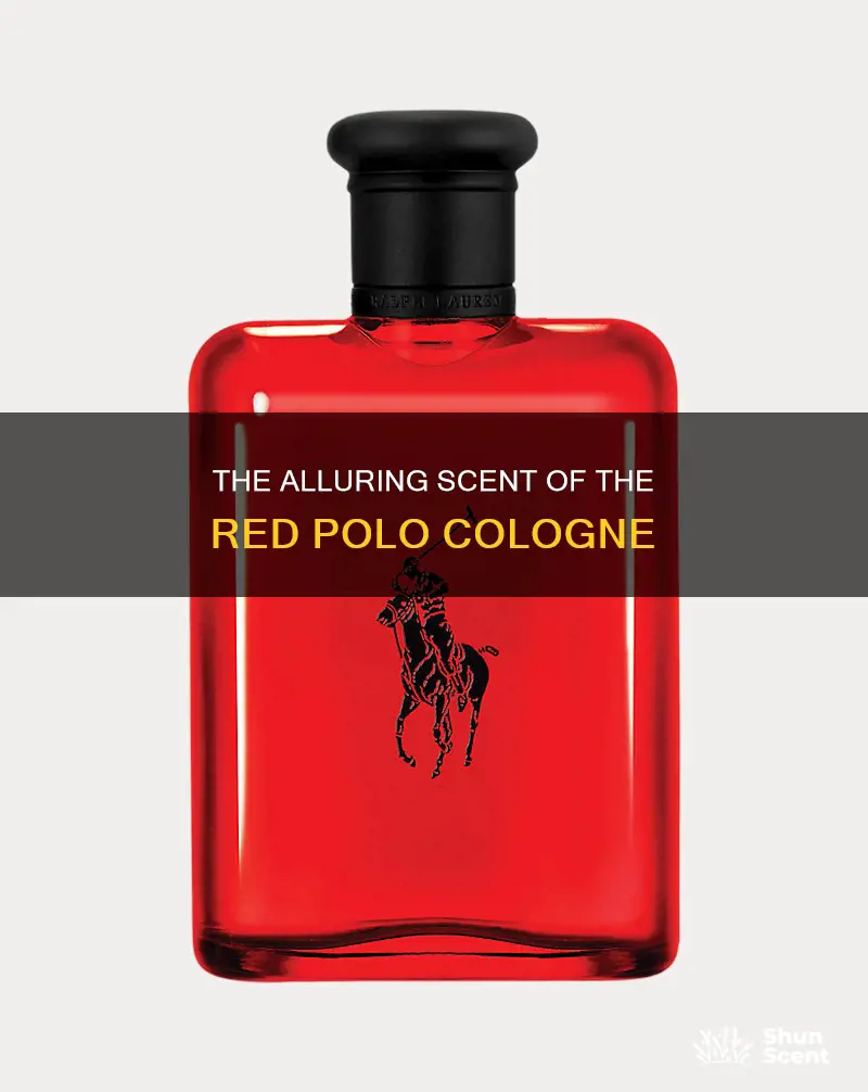 what does red polo cologne smell like