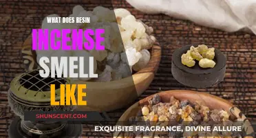 Resin Incense: A Fragrant, Ancient Aroma for Modern Times