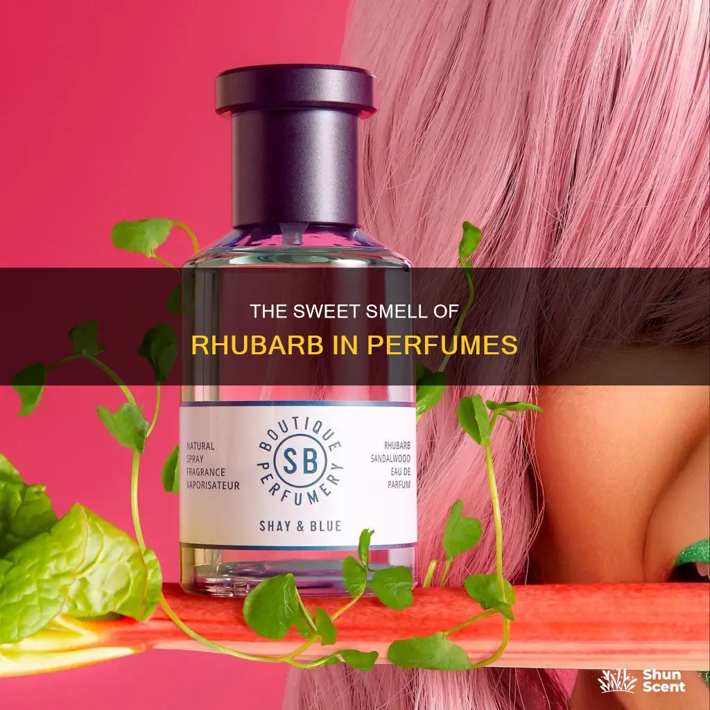 what does rhubarb smell like in perfume