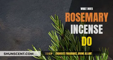 Rosemary Incense: Benefits and Uses for Wellbeing