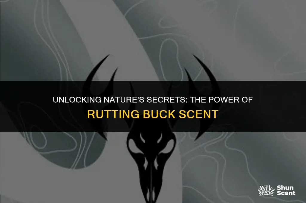 what does rutting buck scent do