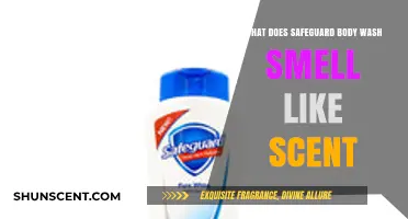 Exploring the Invigorating Scent of Safeguard Body Wash