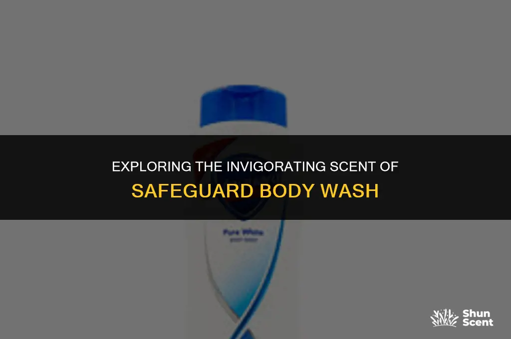 what does safeguard body wash smell like scent