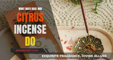 The Benefits of Sage and Citrus Incense