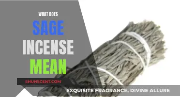 The Significance of Sage Incense and Its Meaning