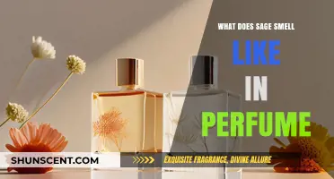 The Scent of Sage in Perfumes: Herbaceous Aromas
