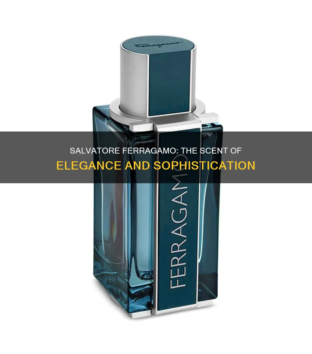 what does salvatore ferragamo perfume smell like