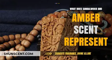 Unveiling the Mystique: Sandalwood and Amber's Symbolic Significance