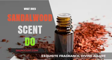 Unlocking the Secrets of Sandalwood: A Journey into its Aromatic Bliss