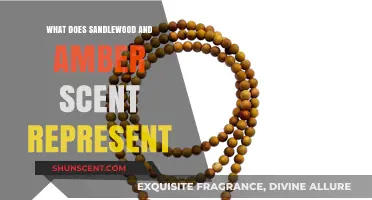 Unveiling the Mystique: Sandalwood and Amber's Symbolic Significance