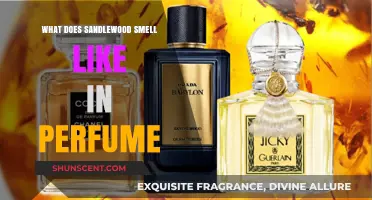 The Warm, Woody Scent of Sandalwood in Perfumes