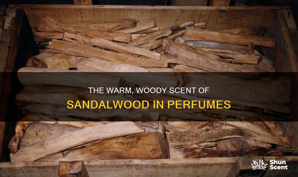 what does sandlewood smell like in perfume