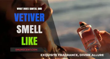 Exploring the Earthy, Woody, and Sensual Aromas of Santal and Vetiver