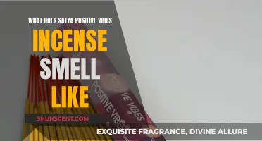Satya Positive Vibes Incense: Fragrance Notes and Aroma Profile