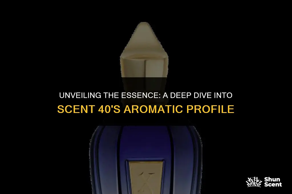 what does scent 40 smell like